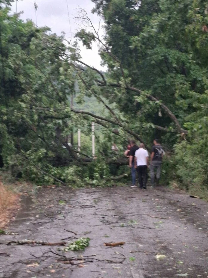 What Happened in Gjakova? The Detail Everyone's Talking About